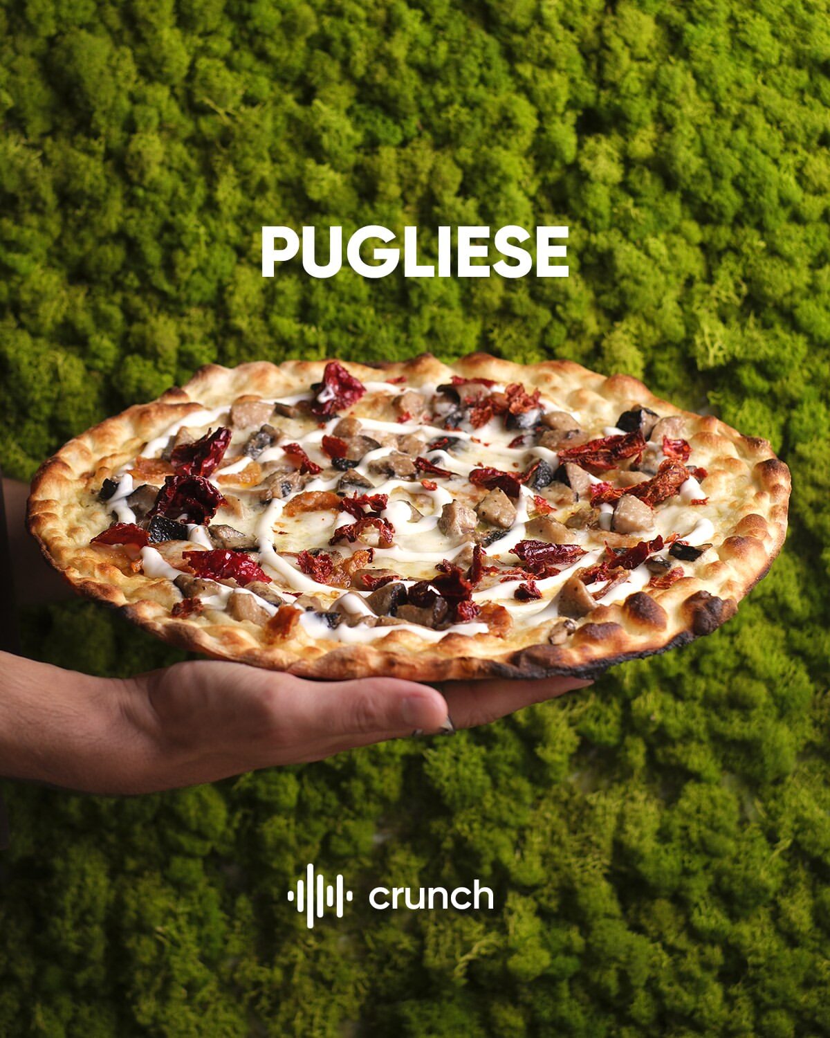 La Pugliese sul muschio